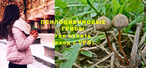 твердый Володарск