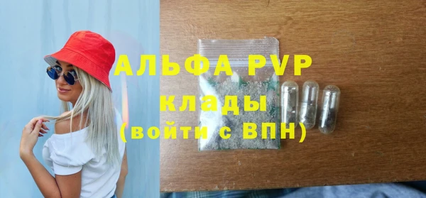 индика Алексин