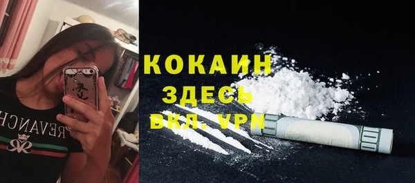 PSILOCYBIN Аркадак