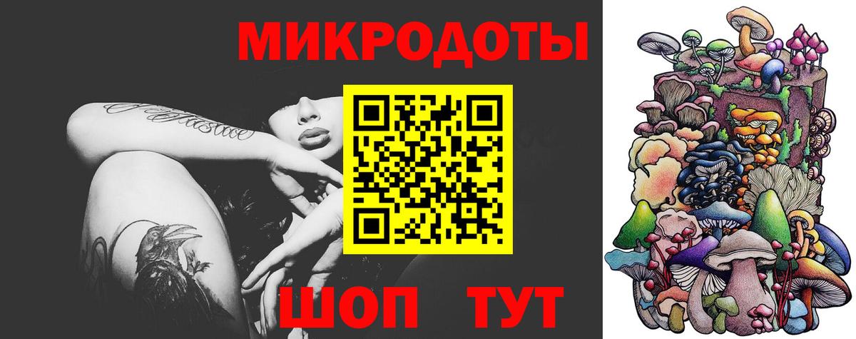 Псилоцибиновые грибы Psilocybe Уссурийск