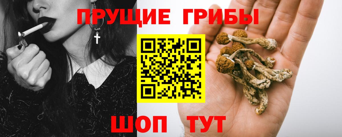 Уссурийск  Галлюциногенные грибы MAGIC MUSHROOMS  Вход с VPN 